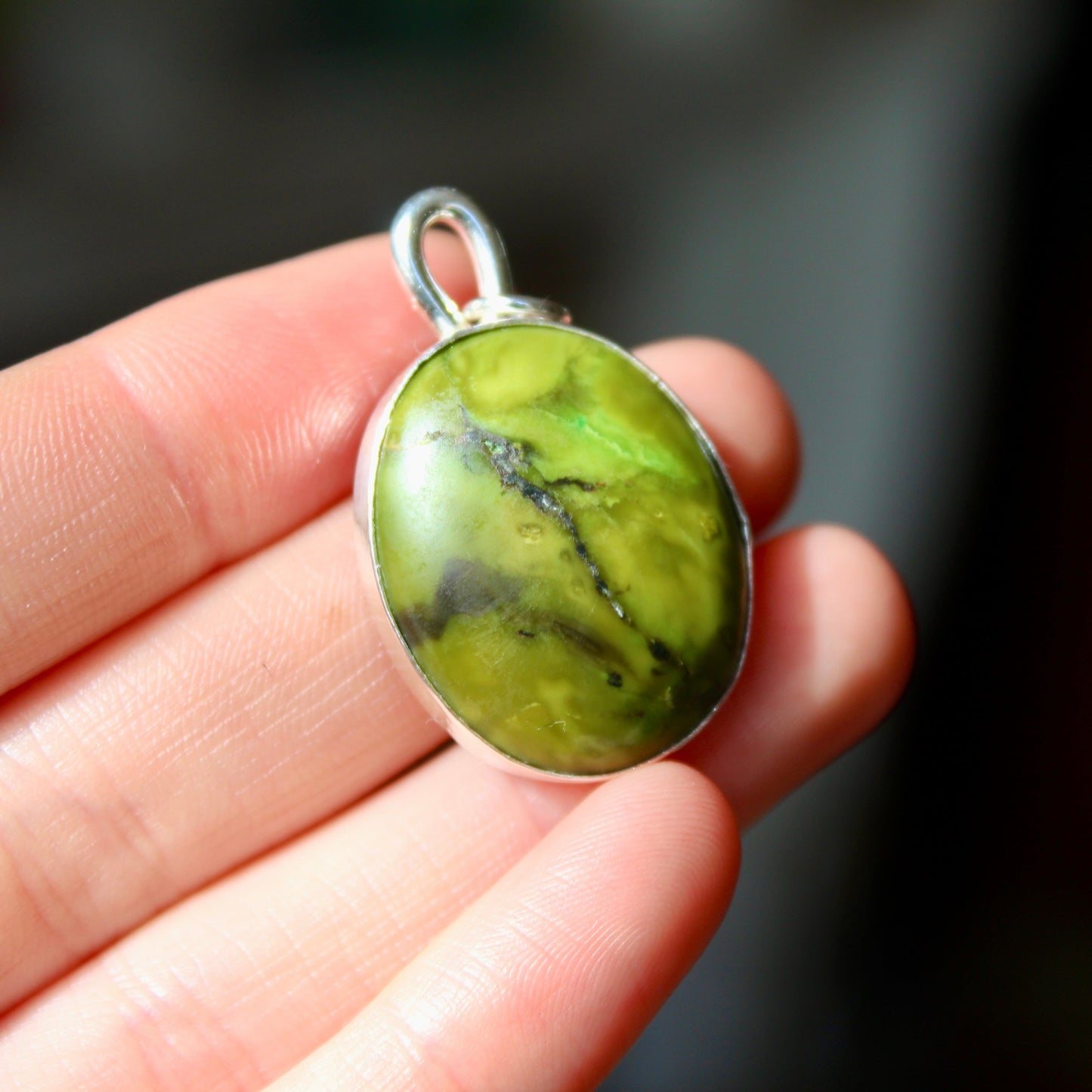Kelp forest pendant
